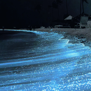 纲手吃雷影大狙的由来和寓意
